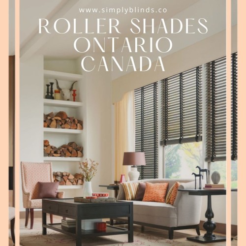 https://www.simplyblinds.co/roller-solar-shades-blinds/
